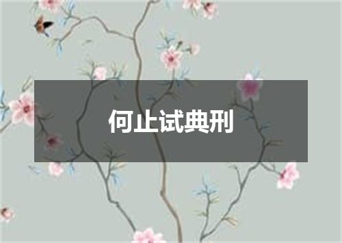 何止试典刑