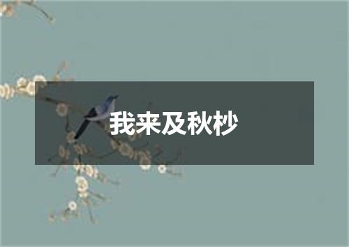 我来及秋杪