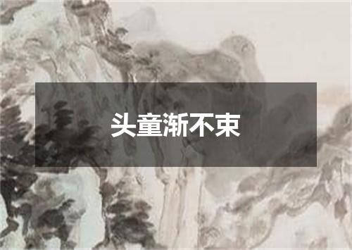 头童渐不束