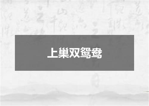 上巢双鸳鸯