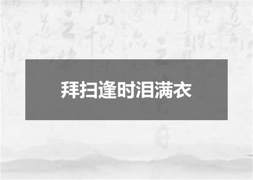 拜扫逢时泪满衣