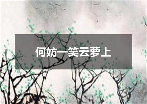 何妨一笑云萝上