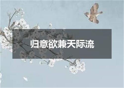 归意欲兼天际流