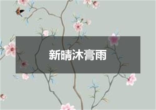 新晴沐膏雨