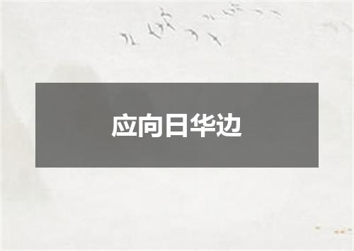 应向日华边