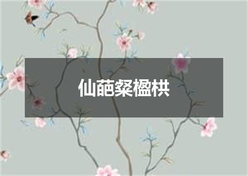 仙葩粲楹栱