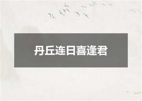 丹丘连日喜逢君