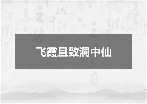 飞霞且致洞中仙
