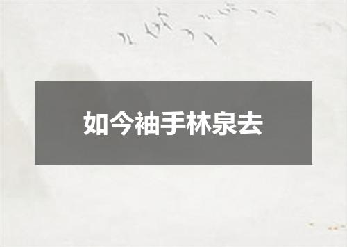 如今袖手林泉去