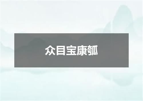 众目宝康瓠