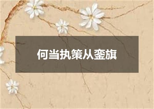 何当执策从銮旗