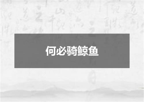 何必骑鲸鱼