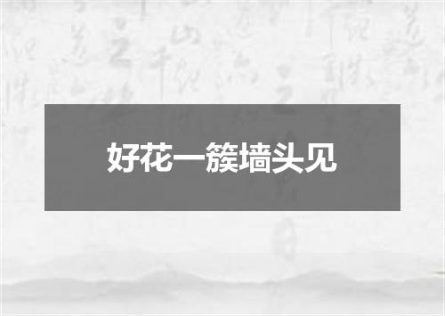 好花一簇墙头见