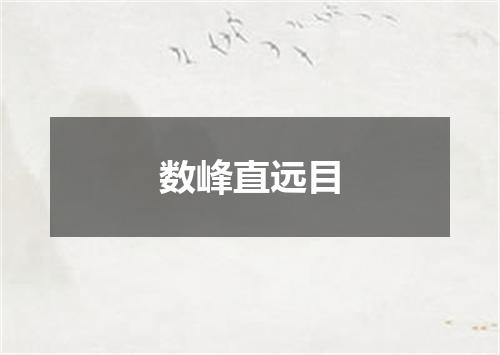 数峰直远目