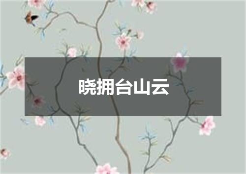 晓拥台山云