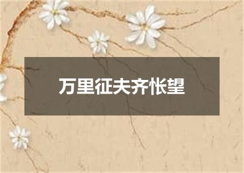 万里征夫齐怅望