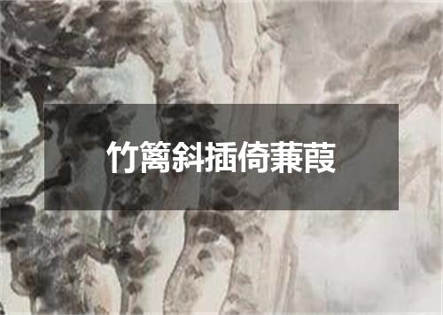 竹篱斜插倚蒹葭