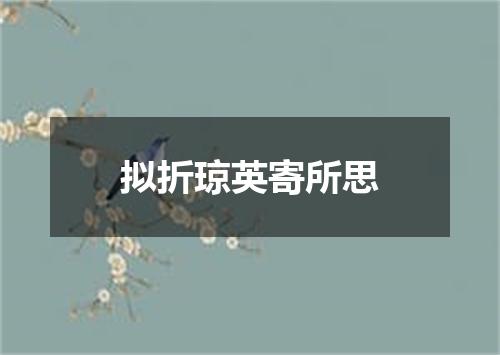 拟折琼英寄所思