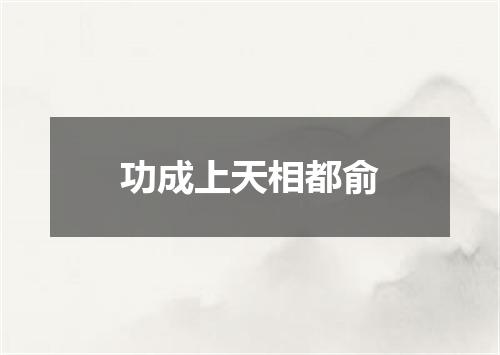 功成上天相都俞