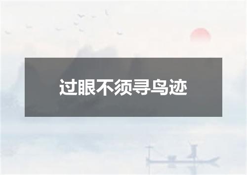 过眼不须寻鸟迹
