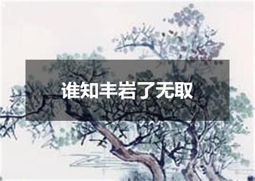 谁知丰岩了无取