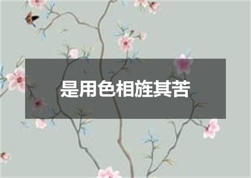 是用色相旌其苦