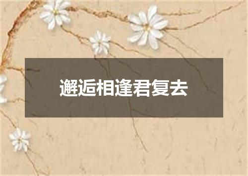 邂逅相逢君复去