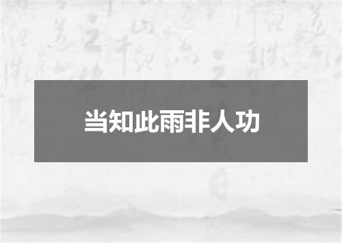 当知此雨非人功