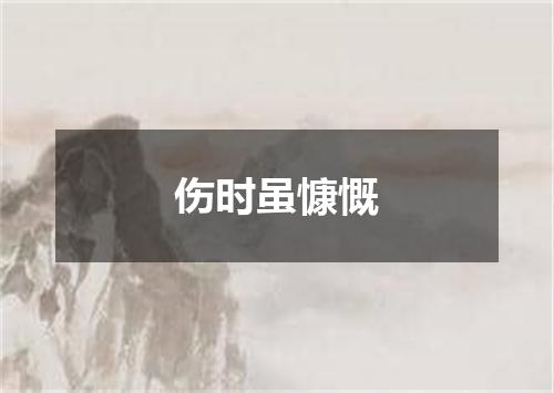 伤时虽慷慨
