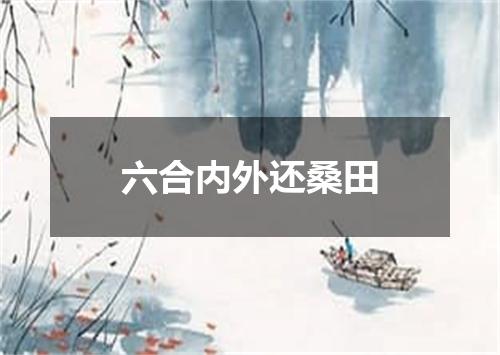 六合内外还桑田