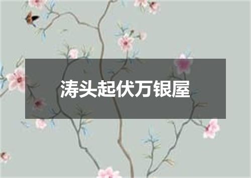 涛头起伏万银屋