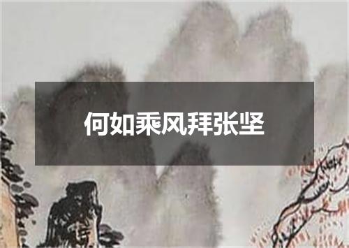 何如乘风拜张坚