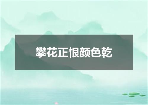 攀花正恨颜色乾