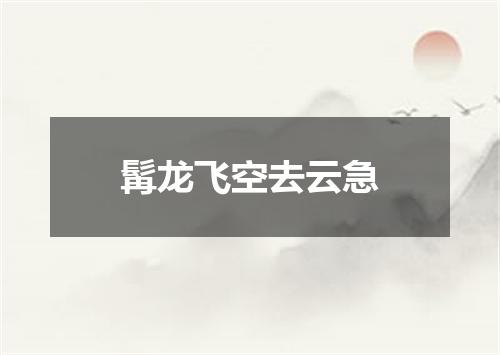 髯龙飞空去云急