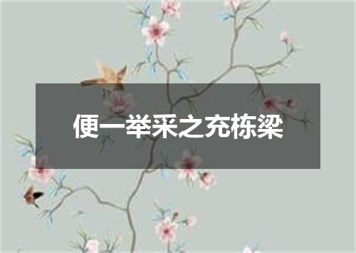 便一举采之充栋梁