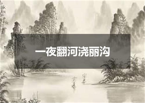 一夜翻河浇丽沟