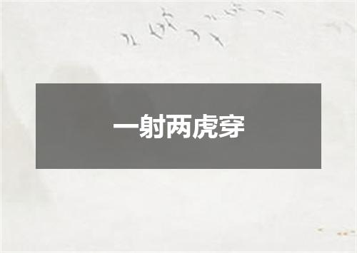一射两虎穿