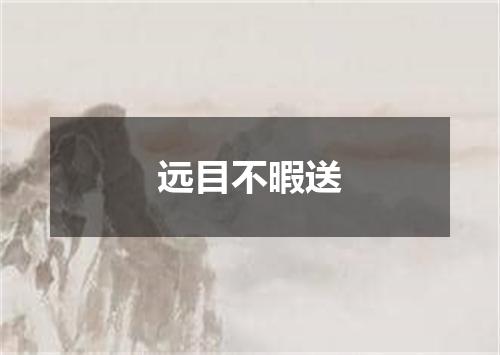 远目不暇送
