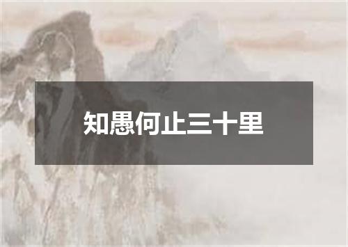知愚何止三十里
