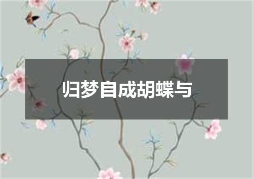 归梦自成胡蝶与