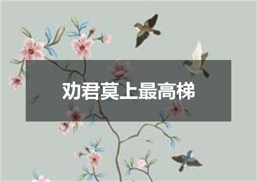 劝君莫上最高梯