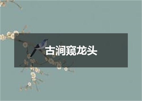 古涧窥龙头