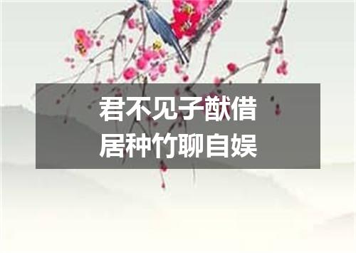 君不见子猷借居种竹聊自娱