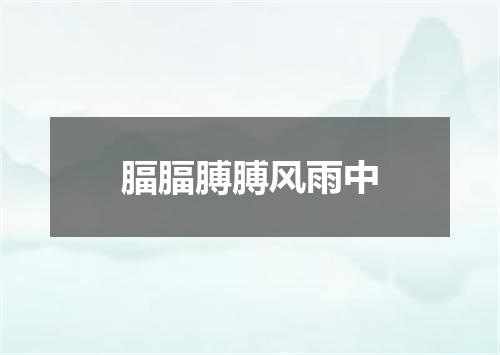 腷腷膊膊风雨中