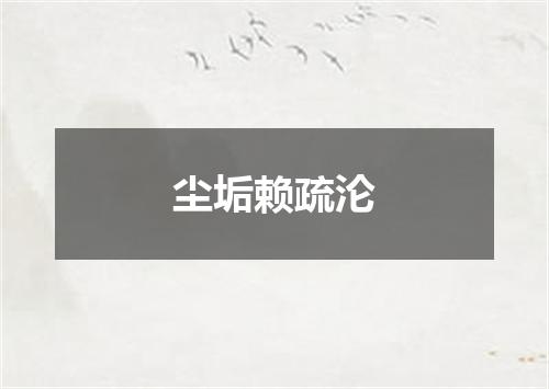 尘垢赖疏沦