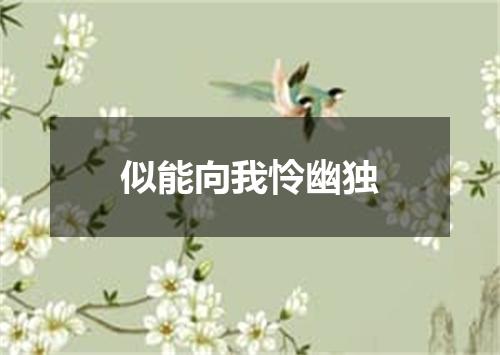 似能向我怜幽独