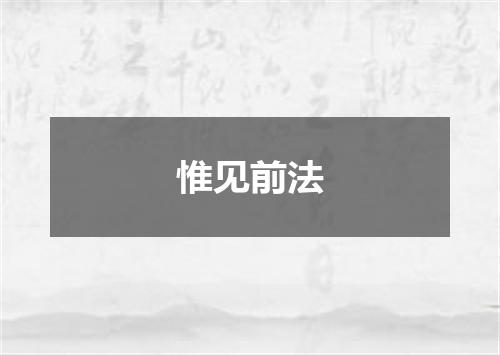 惟见前法