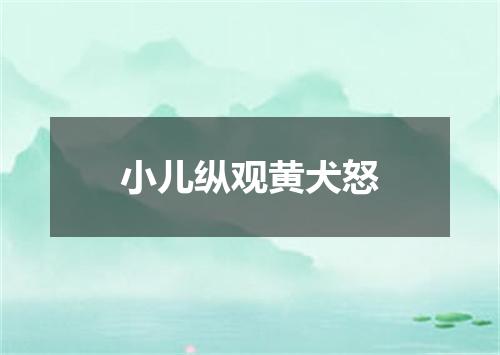 小儿纵观黄犬怒