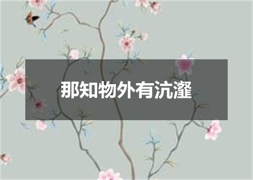 那知物外有沆瀣