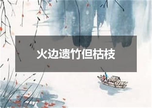 火边遗竹但枯枝